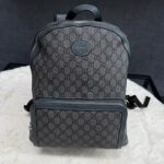 Gucci Grey Rugtas